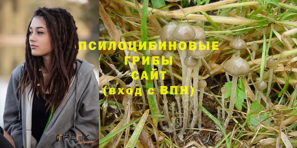 крисы Арсеньев